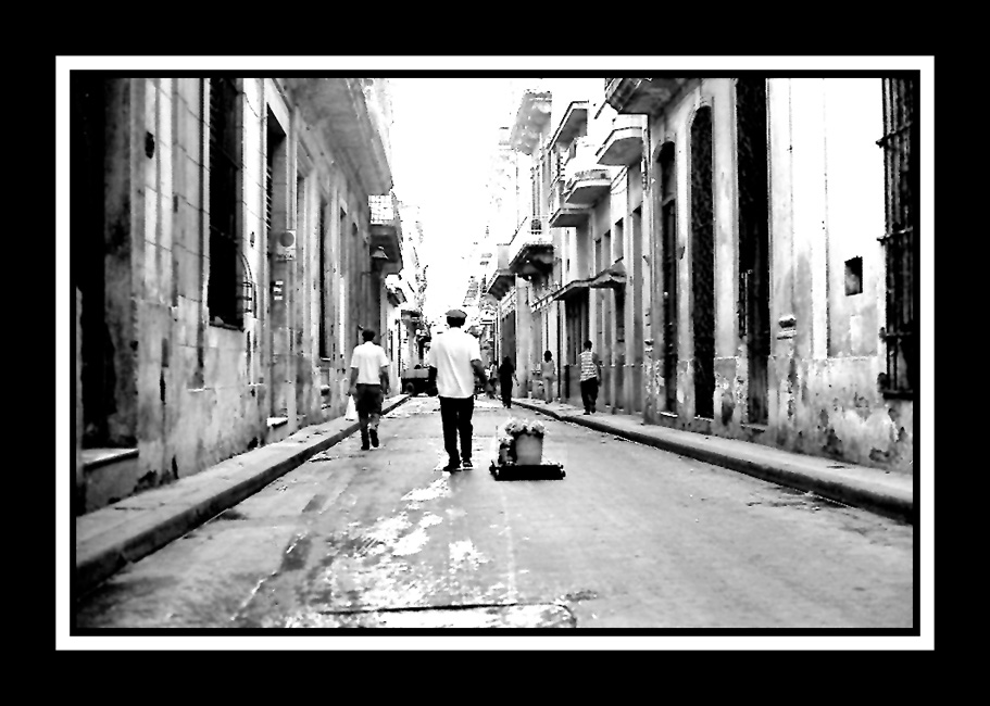 Havana_Flower_Cart_1.jpg